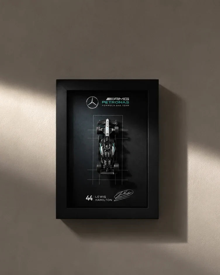 F1 3D Car Frames